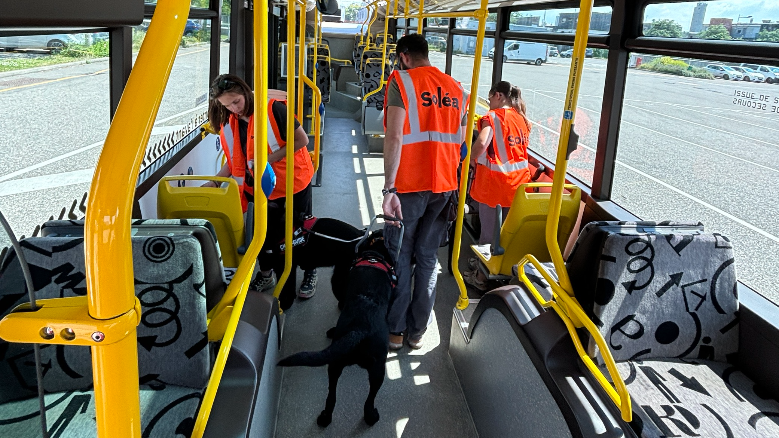 Les Chiens Guides de l'École de Cernay se familiarisent avec les transports en commun grâce à Soléa 🚍