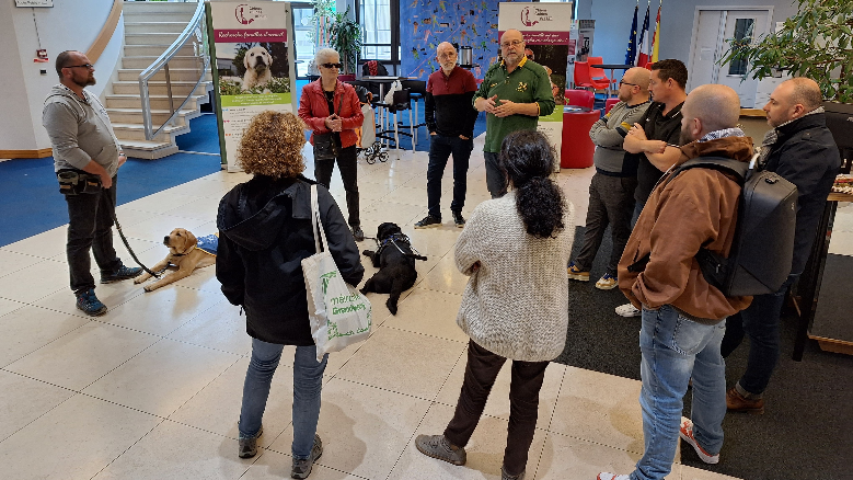 Les chiens guides, partenaires d’autonomie : une journée de sensibilisation au cœur de la Métropole 🐾