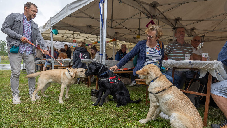 Une Journée de Partage et de Fun à l'École de Cernay ! 🐾🎉